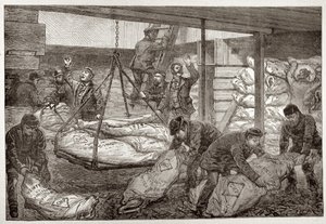 Landing Australian Frozen Meat from Sydney in the South West India Dock, Millwall, from 